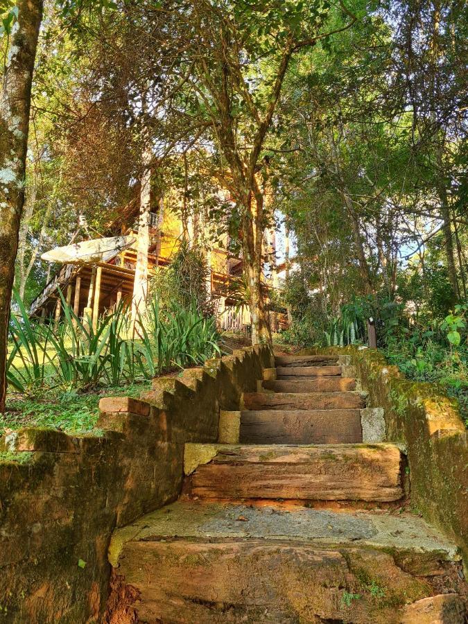 Pousada Le Lieu Santo Antônio do Pinhal Dış mekan fotoğraf